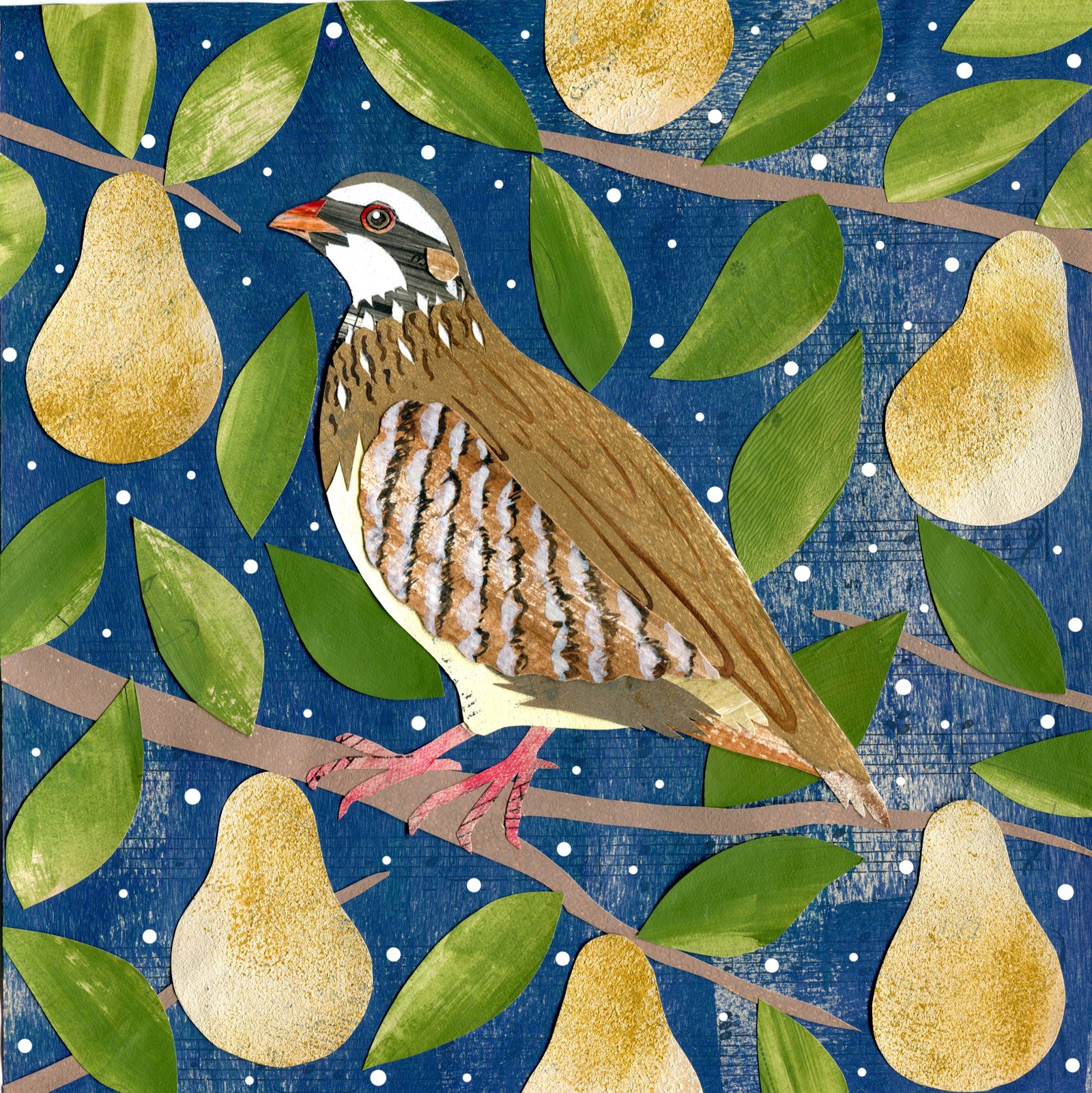Victoria Whitlam - Partridge in a pear tree