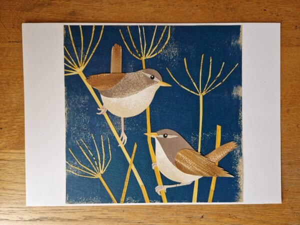 Victoria Whitlam - Wrens