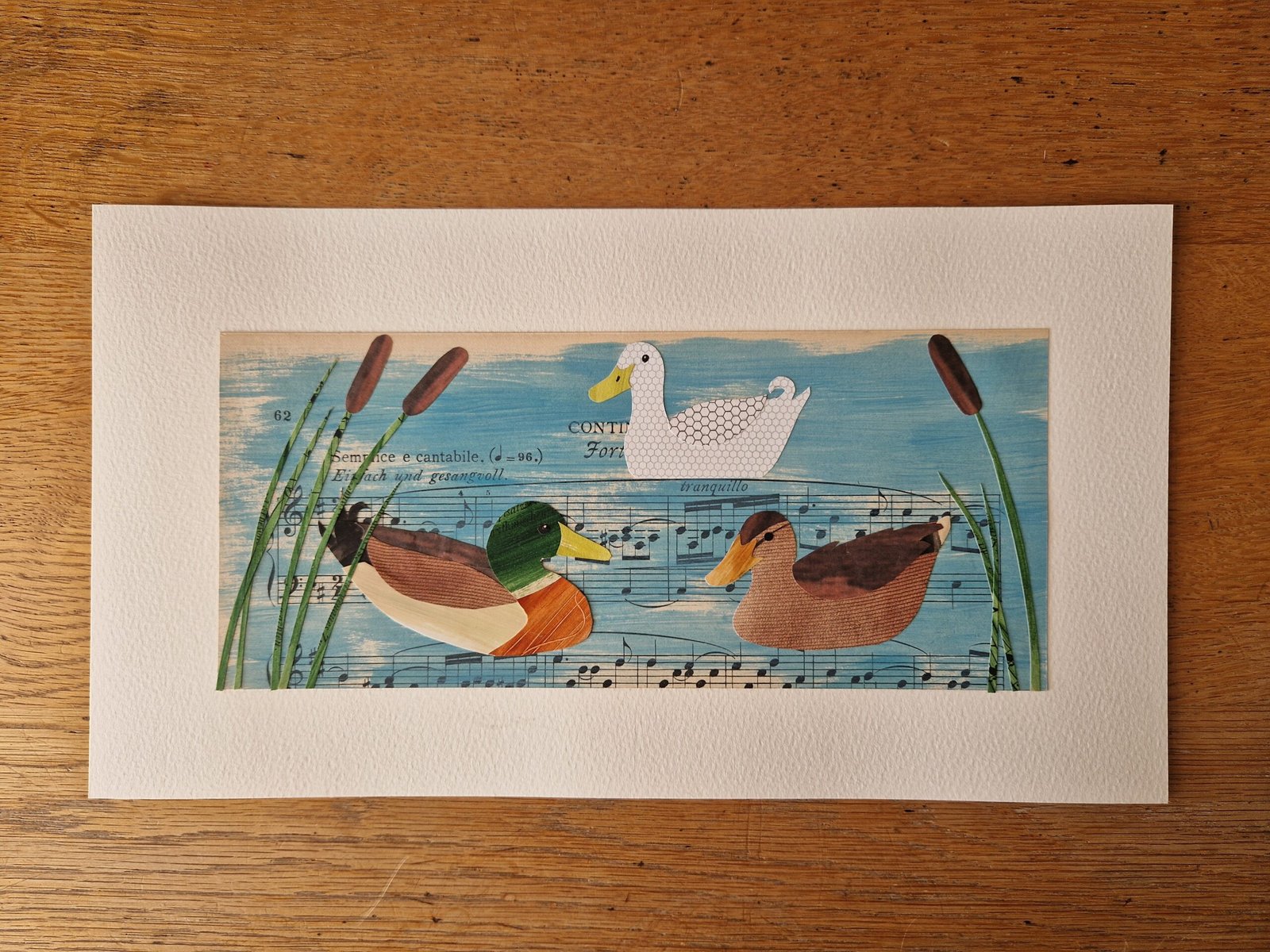 Victoria Whitlam - Ducks
